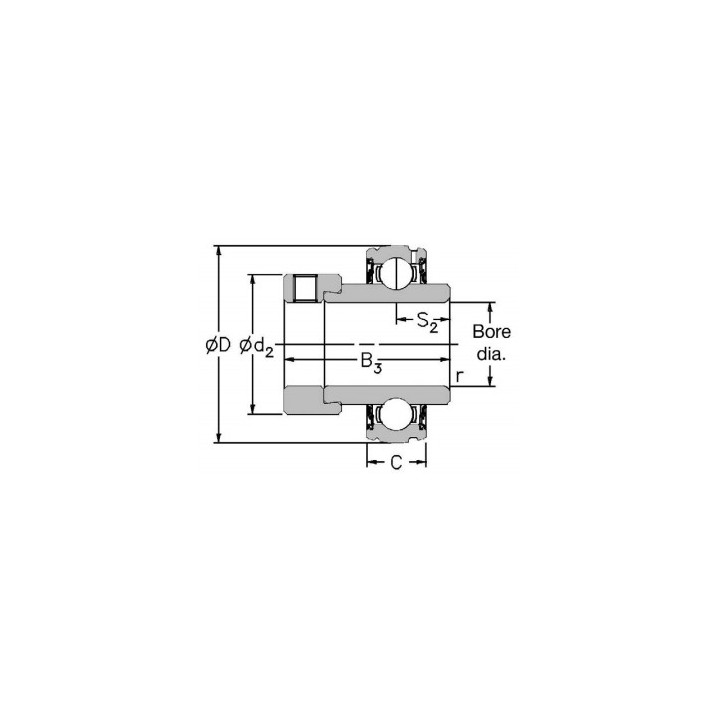 RHP 1020-20DECG - Inserto Cuscinetto