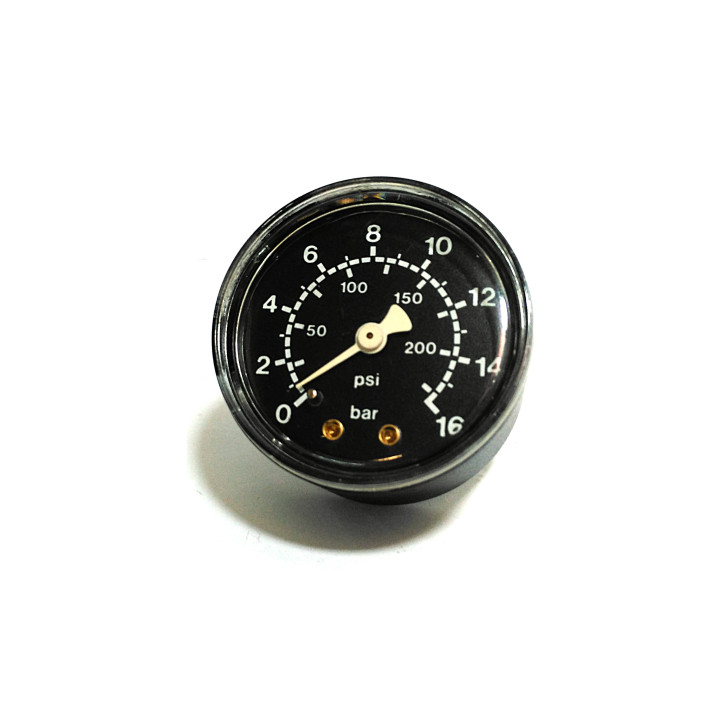 OEM - Misuratore Presione 16Bar