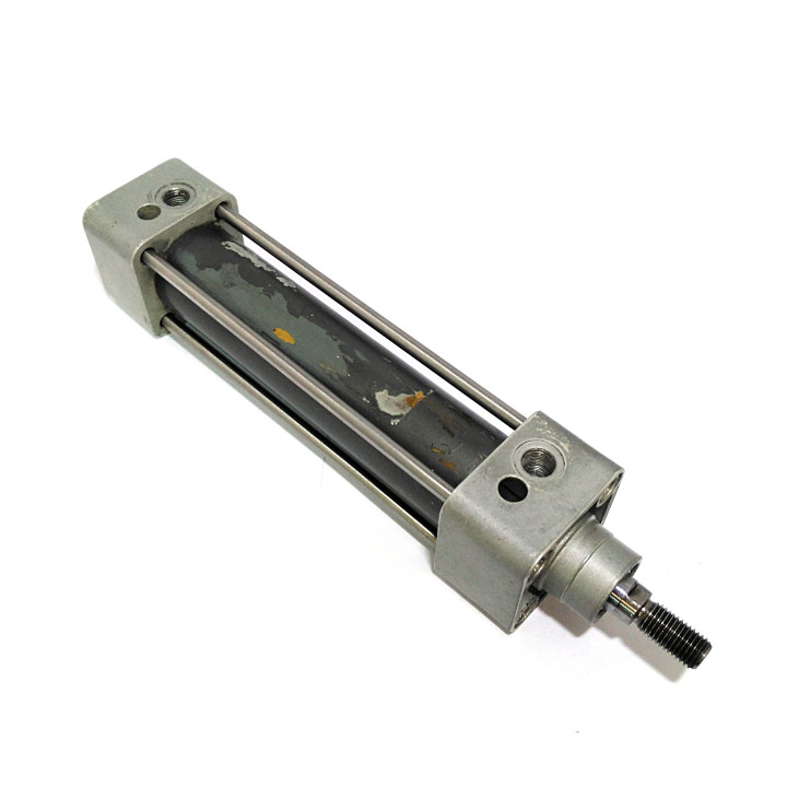 Pistone Pneumatico 36x98mm Doppio Azzione Maschio 12Bar