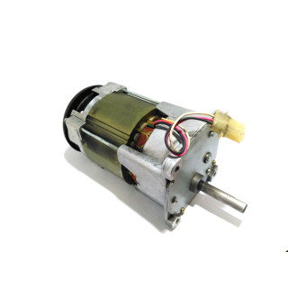 SHINANO KENSHI RG-914-012A - Motore Elettrico 120V 80Rpm