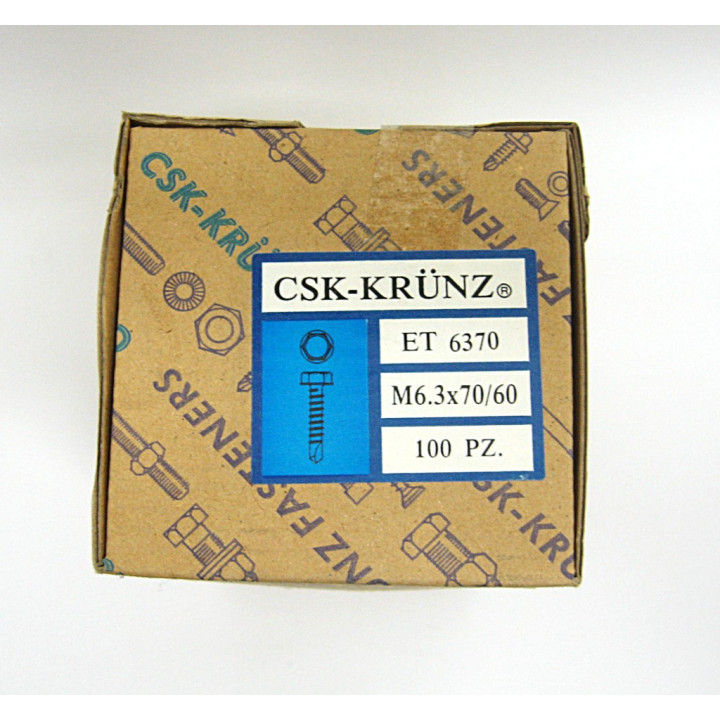 100 pz. Screw Head Hexagonal Galvanized M6.3x70/60mm