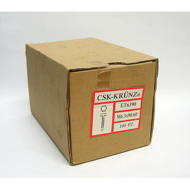 100 pz. Screw Head Hexagonal Galvanized M6.3x90/60mm