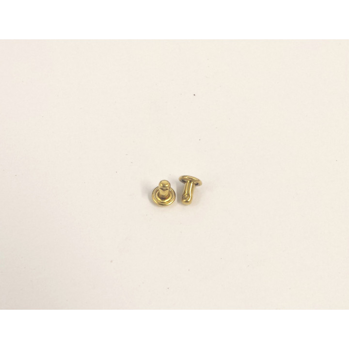 X5000 VITI COLORE ORO