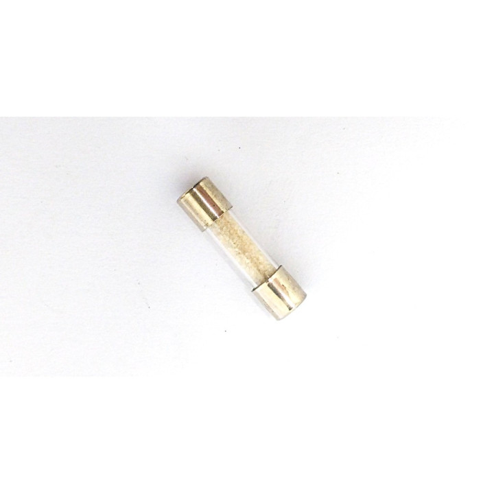 OEM 6.3A-250V - 5 x Fusibili 5x20mm