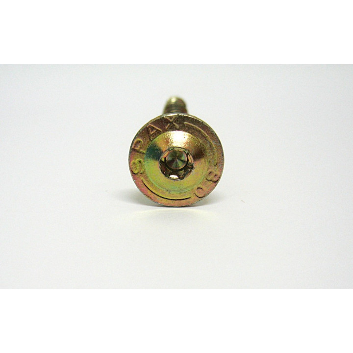 50pz. Vite Testa Piatta a Torx (T40) M8x80mm