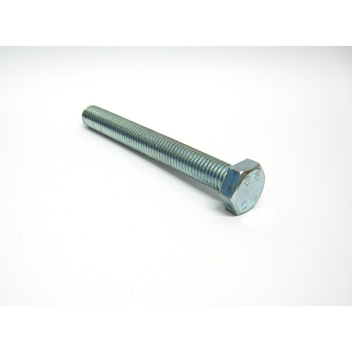 50 pz. Screw Filleted Hex Head M12x100mm