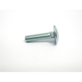 Vite/Bullone Collo Quadrato  DIN603 Zincato M6x25mm