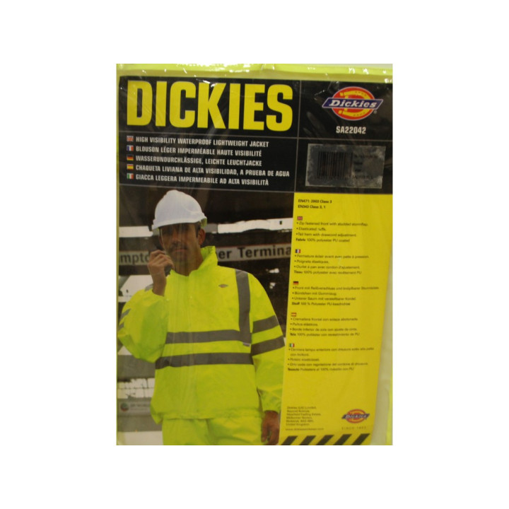 Dickies T-shirt Uomo con stampa- Taglia L - Bianca
