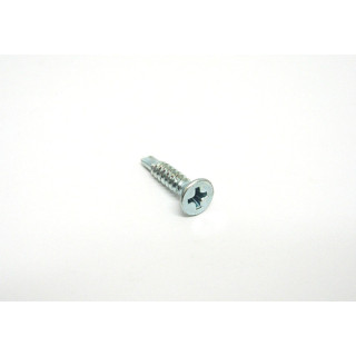 500 pz. Screw Self-Drilling  Cross M3.9x19mm - AP-STEEL