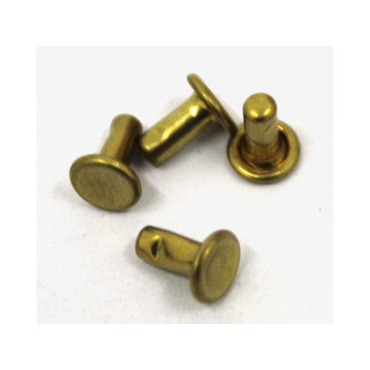 671x Rivetti in Ottone