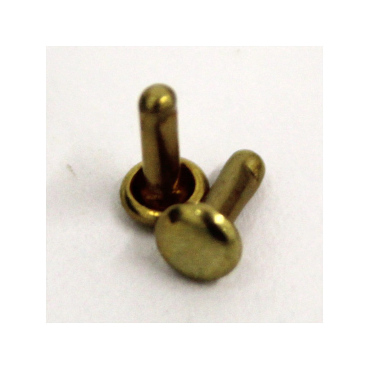 Rivetti in Ottone - 477 Pezzi