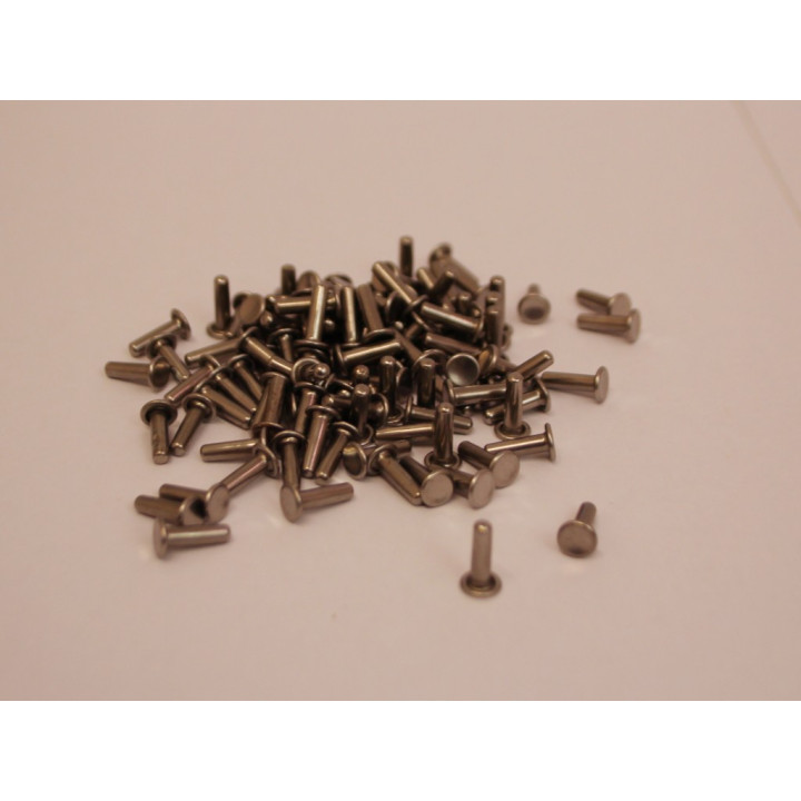 100 Per Borchie Rivetti decoupage color acciao per borse Scarpe in pelle e varie