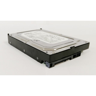 DELL WD2502ABYS - Hard disk 250GB - SATA - 3.5" Pollici