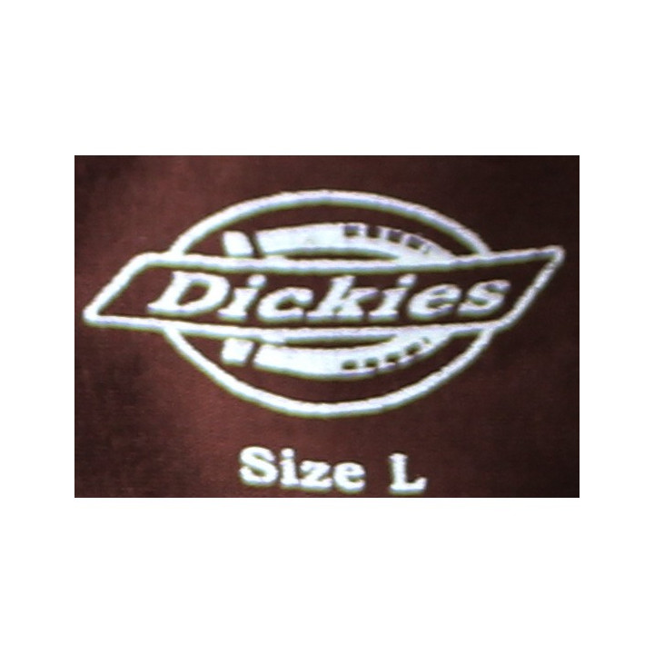 Dickies T-shirt Uomo con stampa- Taglia L - Bianca