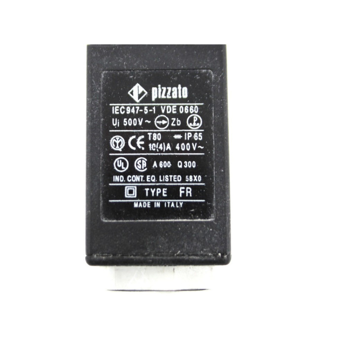 Interruttore di sicurezza: a chiave pizzato