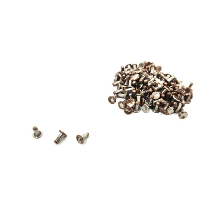 Rivetto testa piana Olgo 00 - 100 pz