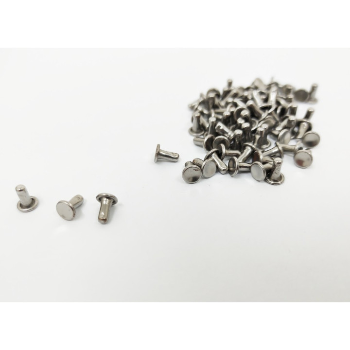 Rivetto testa piana Olgo 00 - 100 pz