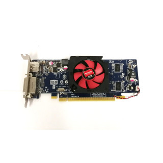 AMD Radeon Graphics Scheda video DVI 1GB C264