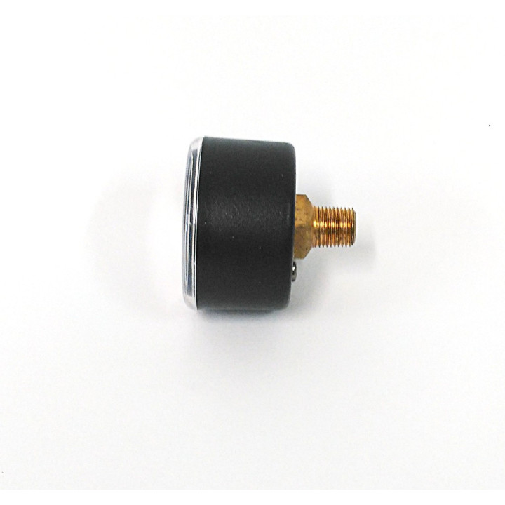 Italmanometri M4312PIO12.50 - Manometro Modello Posteriore Tipo F