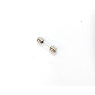 ITALWEBER 0101001 - 10Pz Fusibili in Vetro 5x20F Std 1A 250V