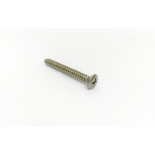 n.i.m. 200 x Vite Filettata Testa Bombata Taglio PH in Acciaio Inox DIN 7983 4.8x45mm