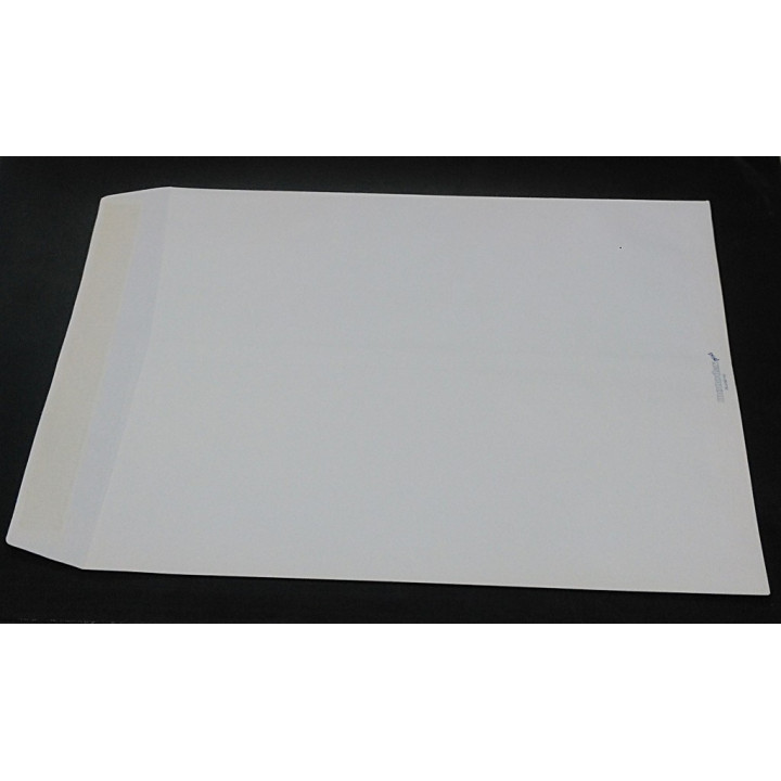 Blasetti 80.10.056.803 - Monodex PLUS Busta a Sacco Autoadesive Kraft Bianco Monolucido 30x40cm