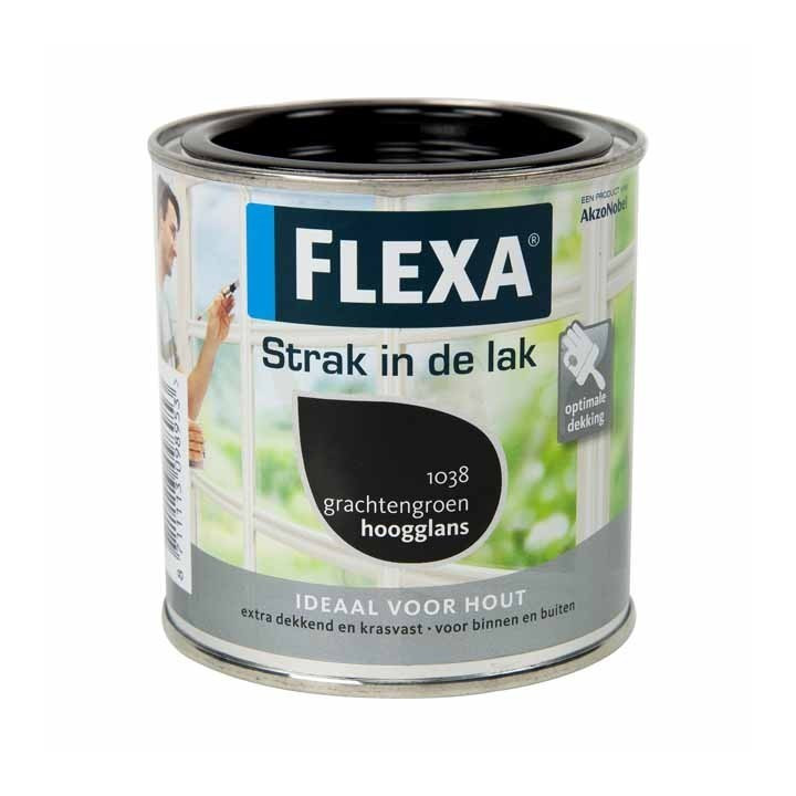 FLEXA Strak in de lak GRACHTENGROEN LT. 0.75