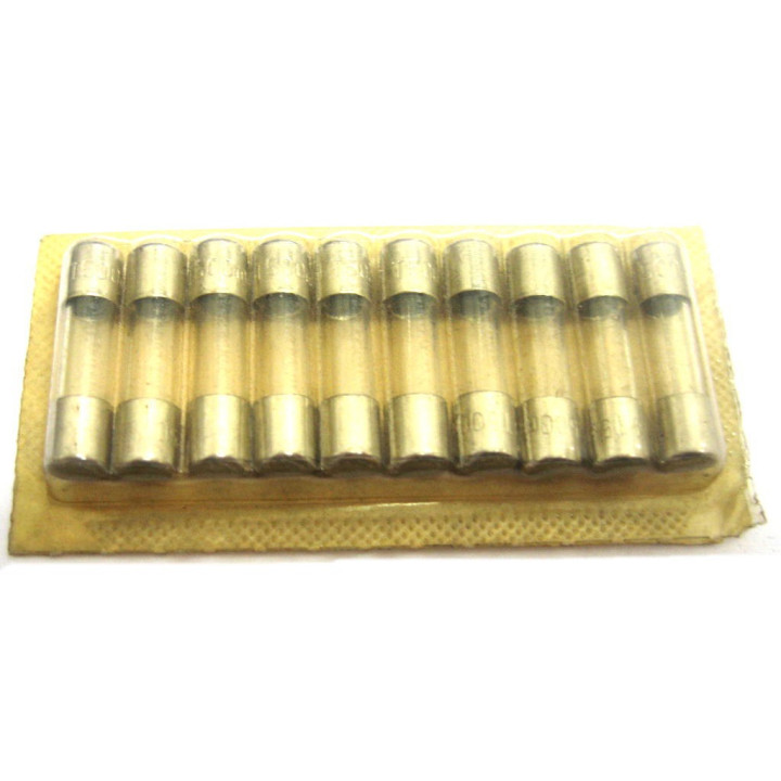 SCHURTER IEC127 - 10 x Fusibili in Vetro 50x20 250V.